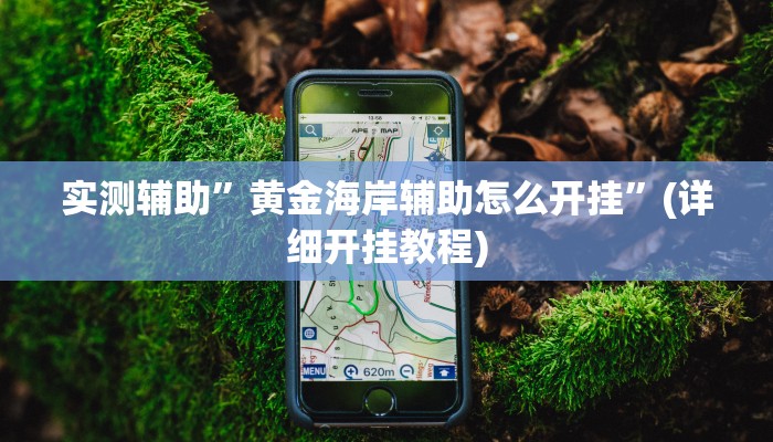 实测辅助”黄金海岸辅助怎么开挂”(详细开挂教程)