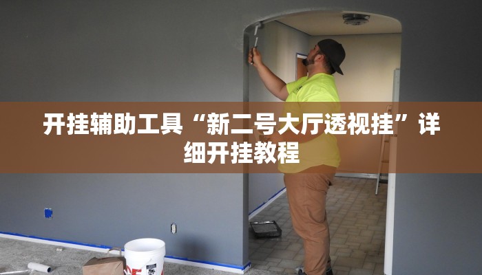 开挂辅助工具“新二号大厅透视挂”详细开挂教程