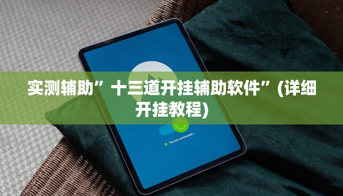 实测辅助”十三道开挂辅助软件”(详细开挂教程)