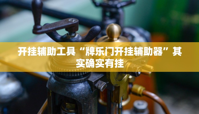 开挂辅助工具“牌乐门开挂辅助器”其实确实有挂