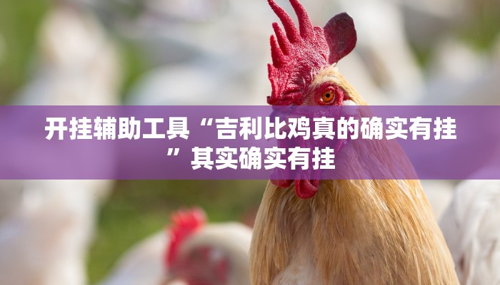 开挂辅助工具“吉利比鸡真的确实有挂”其实确实有挂