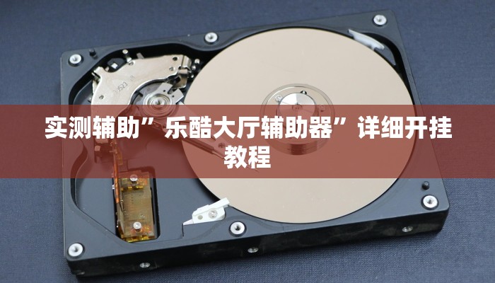 实测辅助”乐酷大厅辅助器”详细开挂教程