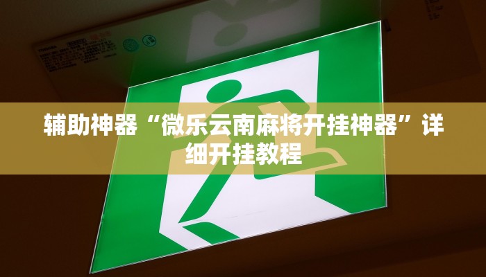 辅助神器“微乐云南麻将开挂神器”详细开挂教程