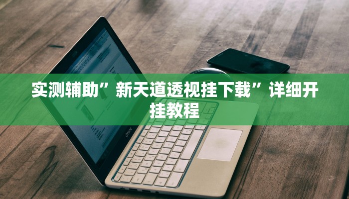 实测辅助”新天道透视挂下载”详细开挂教程