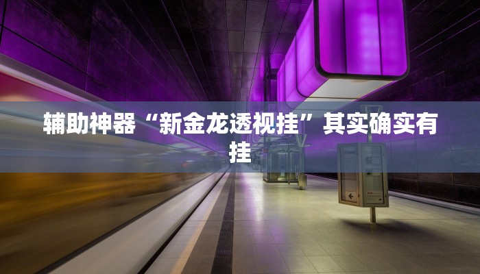 辅助神器“新金龙透视挂”其实确实有挂
