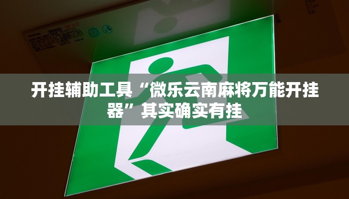 开挂辅助工具“微乐云南麻将万能开挂器”其实确实有挂