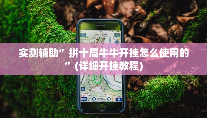 实测辅助”欢乐龙城用挂开挂软件”其实确实有挂