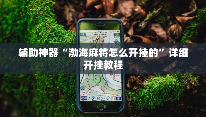 辅助神器“渤海麻将怎么开挂的”详细开挂教程