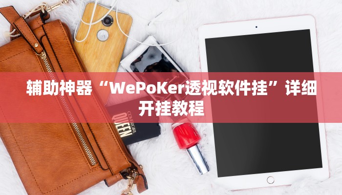 辅助神器“WePoKer透视软件挂”详细开挂教程