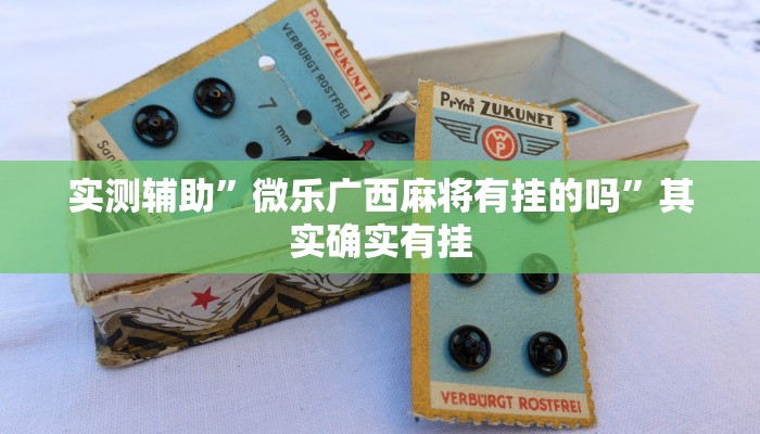实测辅助”微乐广西麻将有挂的吗”其实确实有挂