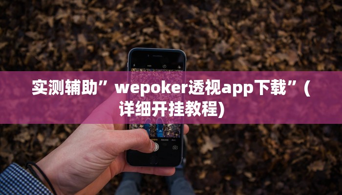 实测辅助”wepoker透视app下载”(详细开挂教程)