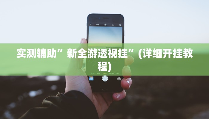 实测辅助”新全游透视挂”(详细开挂教程)