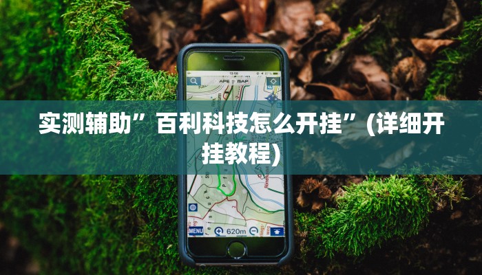 实测辅助”百利科技怎么开挂”(详细开挂教程)