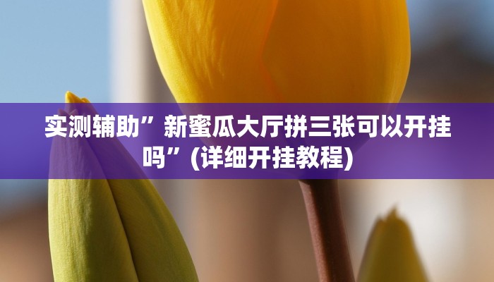 实测辅助”新蜜瓜大厅拼三张可以开挂吗”(详细开挂教程)