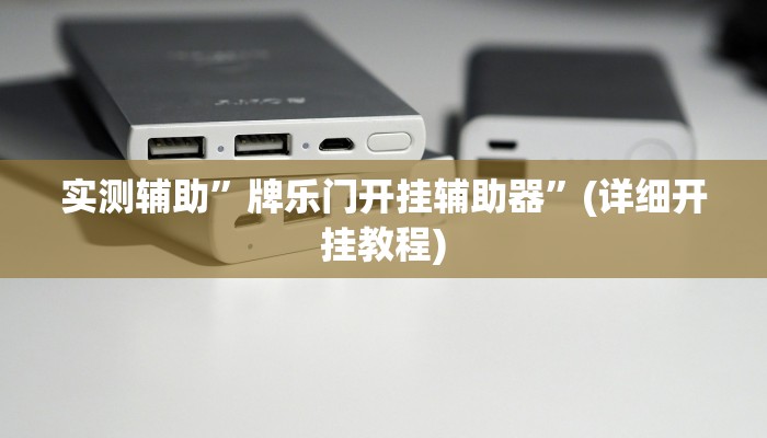 实测辅助”牌乐门开挂辅助器”(详细开挂教程)