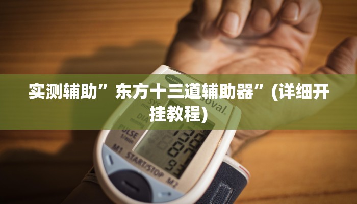 实测辅助”东方十三道辅助器”(详细开挂教程)