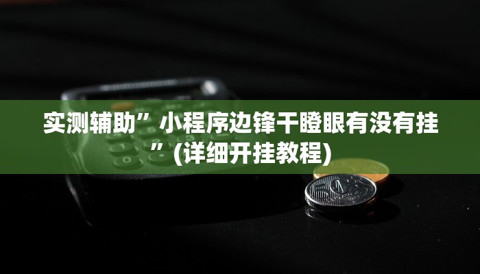实测辅助”小程序边锋干瞪眼有没有挂”(详细开挂教程)