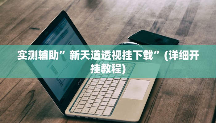 实测辅助”新天道透视挂下载”(详细开挂教程)