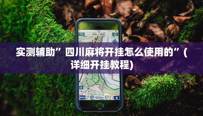 实测辅助”四川麻将开挂怎么使用的”(详细开挂教程)