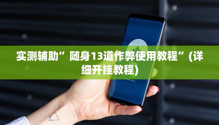 实测辅助”随身13道作弊使用教程”(详细开挂教程)