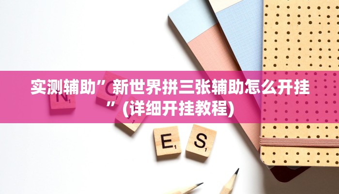 实测辅助”werplan德州挂”(详细开挂教程)