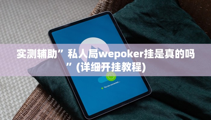 实测辅助”智星德州菠萝助赢神器”其实确实有挂