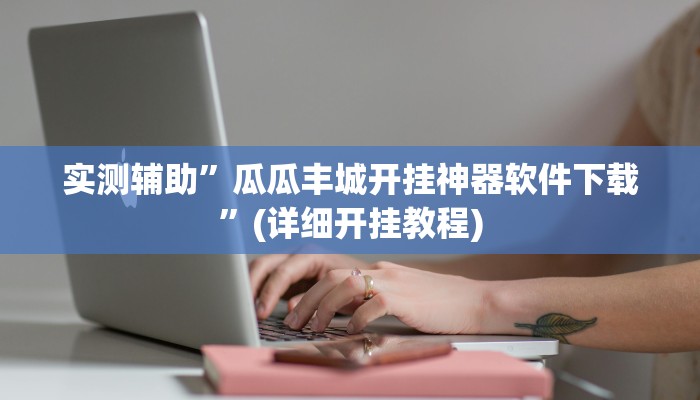 实测辅助”瓜瓜丰城开挂神器软件下载”(详细开挂教程)
