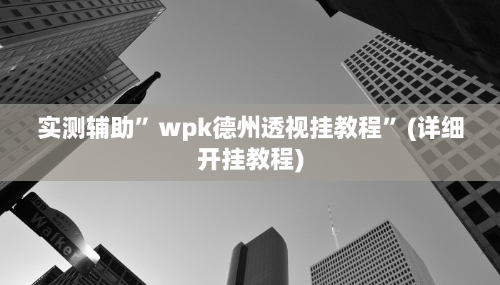 实测辅助”wpk德州透视挂教程”(详细开挂教程)