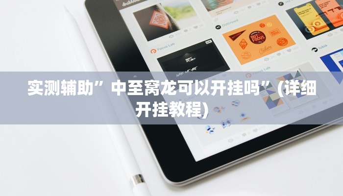 实测辅助”中至窝龙可以开挂吗”(详细开挂教程)