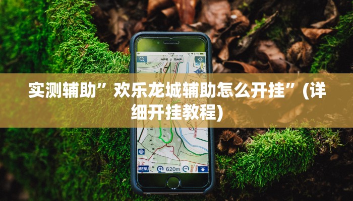 实测辅助”欢乐龙城辅助怎么开挂”(详细开挂教程)