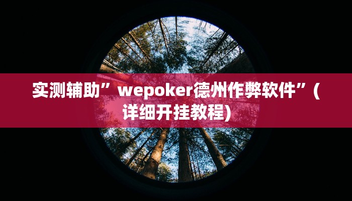 实测辅助”wepoker德州作弊软件”(详细开挂教程)