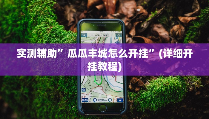 实测辅助”瓜瓜丰城怎么开挂”(详细开挂教程)