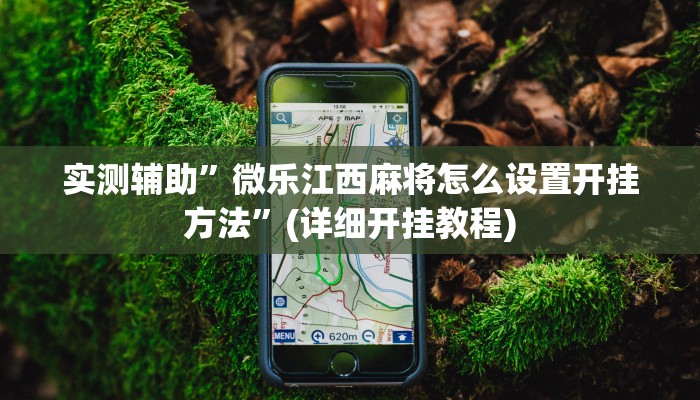 实测辅助”微乐江西麻将怎么设置开挂方法”(详细开挂教程)