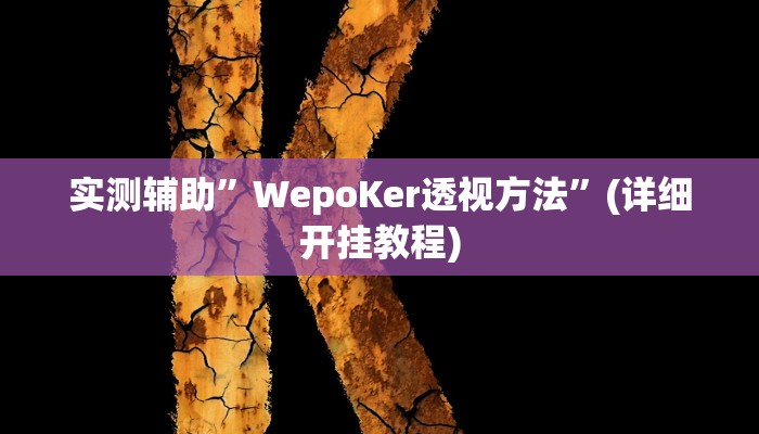 实测辅助”WepoKer透视方法”(详细开挂教程)