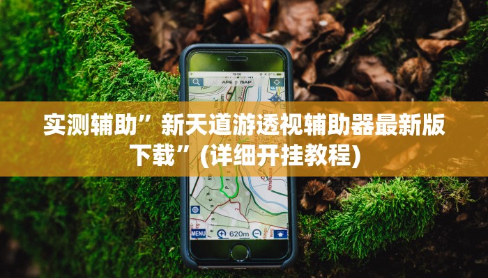 实测辅助”新天道游透视辅助器最新版下载”(详细开挂教程)