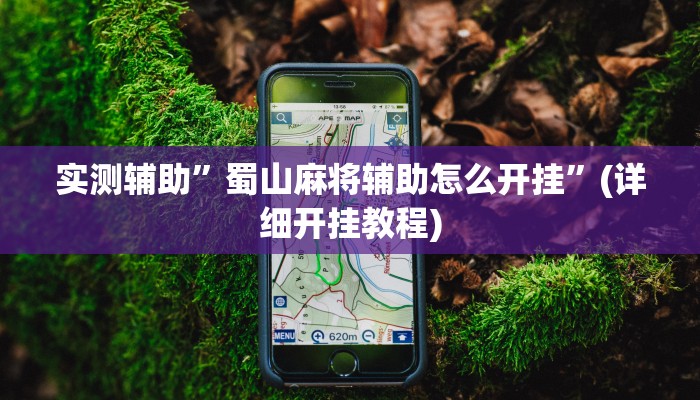 实测辅助”蜀山麻将辅助怎么开挂”(详细开挂教程)