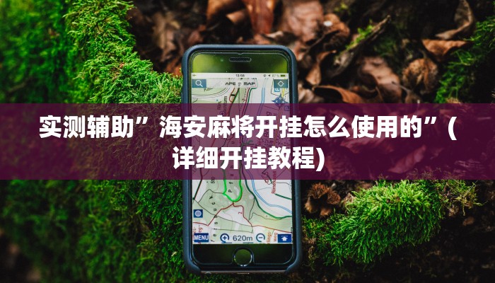 实测辅助”海安麻将开挂神器软件下载”其实确实有挂