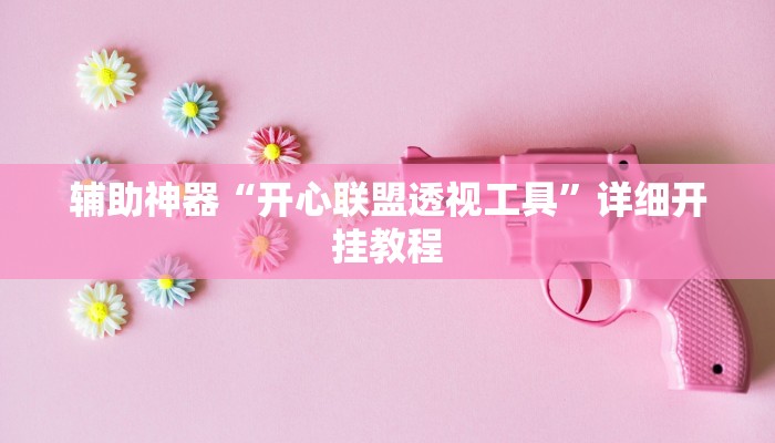 辅助神器“开心联盟透视工具”详细开挂教程