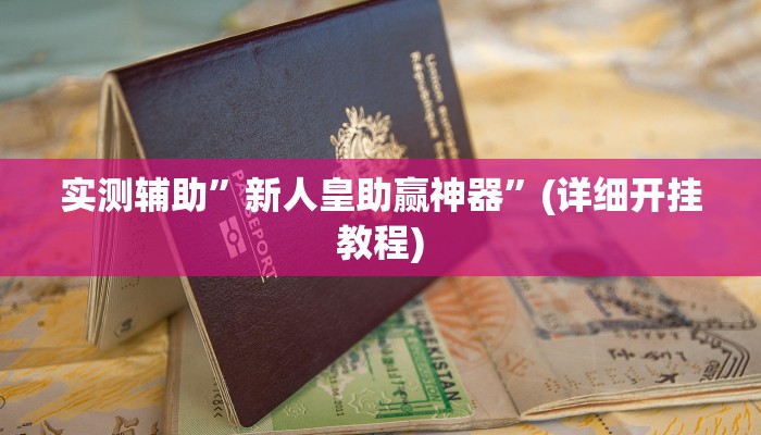 实测辅助”新人皇助赢神器”(详细开挂教程)