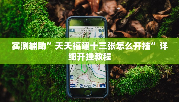 实测辅助”天天福建十三张怎么开挂”详细开挂教程