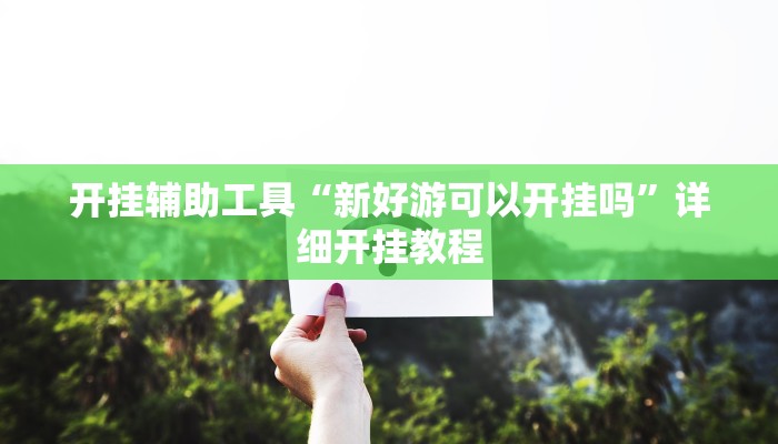 开挂辅助工具“新好游可以开挂吗”详细开挂教程