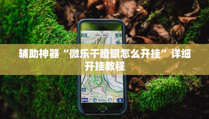 辅助神器“微乐干瞪眼怎么开挂”详细开挂教程