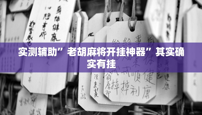实测辅助”老胡麻将开挂神器”其实确实有挂