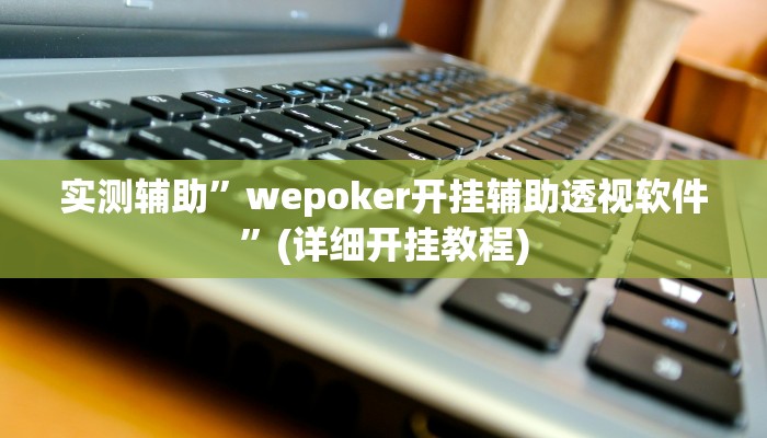 实测辅助”wepoker开挂辅助透视软件”(详细开挂教程)