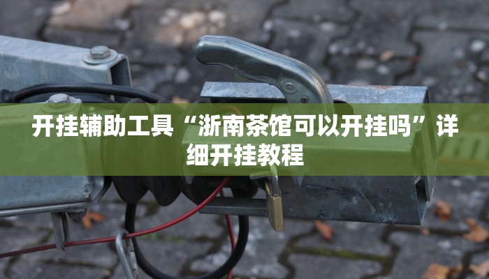 开挂辅助工具“浙南茶馆可以开挂吗”详细开挂教程