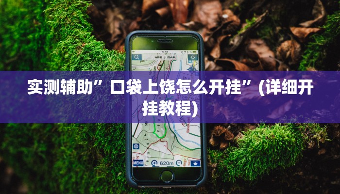 实测辅助”口袋上饶怎么开挂”(详细开挂教程)