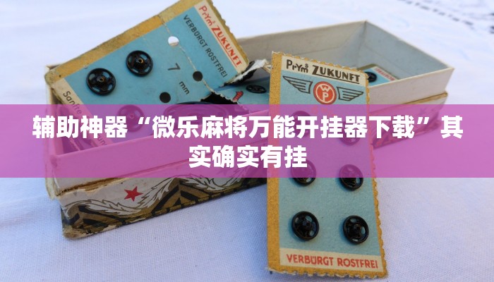 实测辅助”德扑之星透视作弊软件方法”其实确实有挂