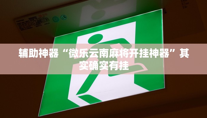 辅助神器“微乐云南麻将开挂神器”其实确实有挂