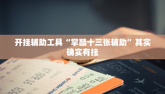 开挂辅助工具“掌酷十三张辅助”其实确实有挂