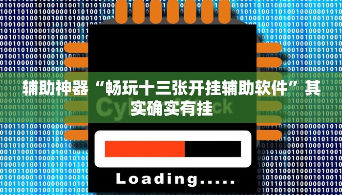 辅助神器“畅玩十三张开挂辅助软件”其实确实有挂